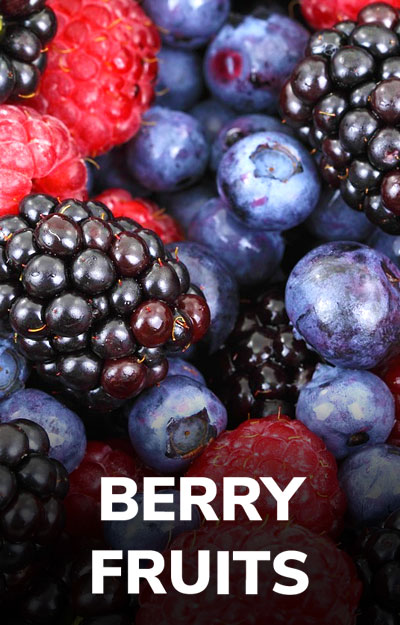 Berry Fruit E-liquids
